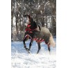 Rambo Supreme 450g Horseware