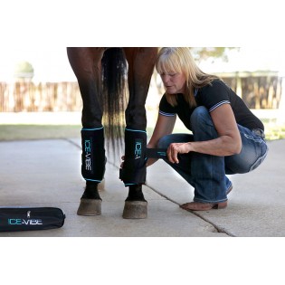 Guêtres Ice Vibe massantes pour cheval Horseware