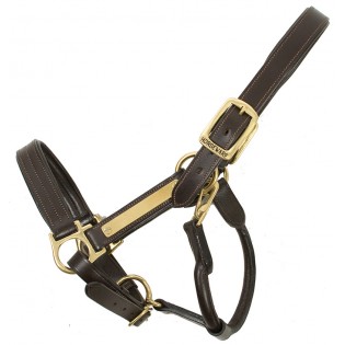 Licol en cuir Amigo Horseware