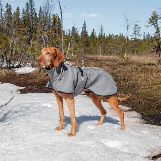 Manteau Chien polyvalent Nella - Back on Track