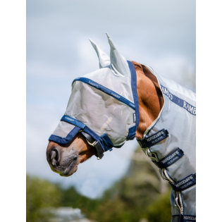 Equipement cheval, pour un maximum de protection