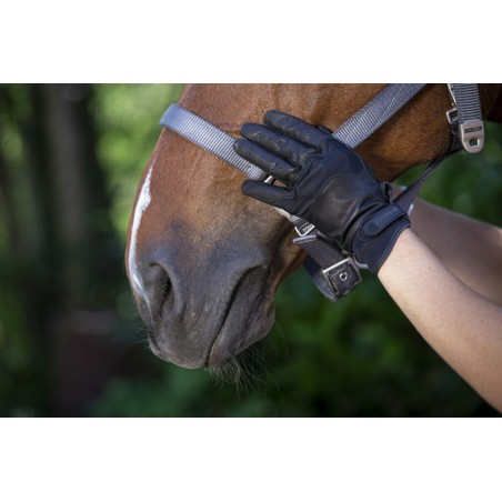Gants Equi-Theme Hiver Digital - Chauds Et Pratiques Pour équitation