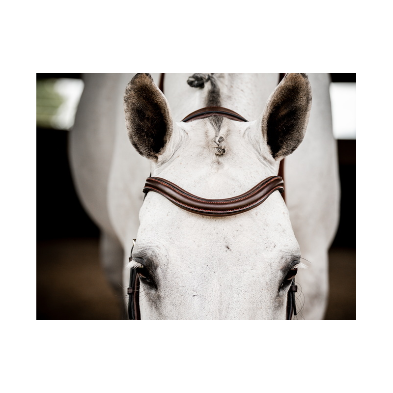 PUNTA DI RICAMBIO Punta Di Ricambio Elemento Riscaldante Oro 80 W PP Paraurti Auto Acciaio EUR - Foto 12