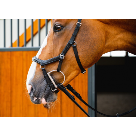 Bride Micklem Complète Rambo - Taille OS (grand Cheval) - Cuir Avec Plaque Mammaire Et Rênes - Occasion