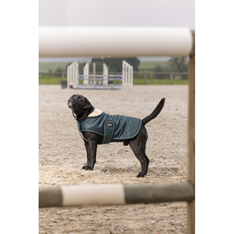 Manteau pour Chien Nylon Teddy Diego Louna