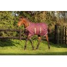 Couverture poulain imperméable Amigo Horseware