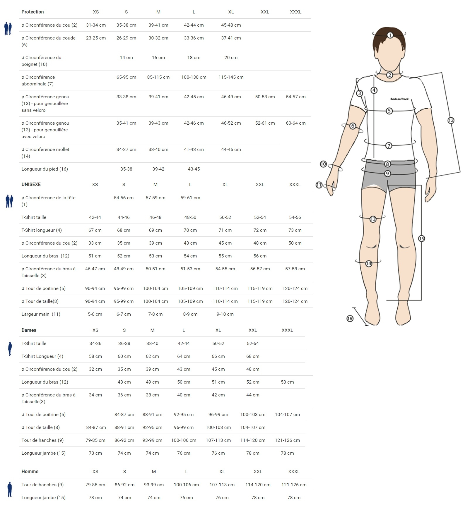 Tableau des tailles Back On Track pour Humains