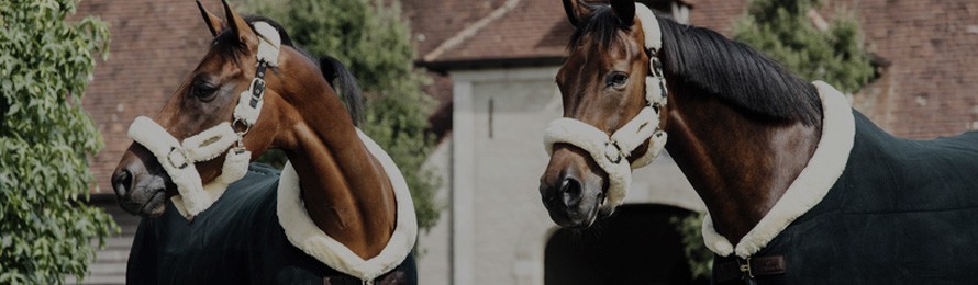 Kentucky horsewear