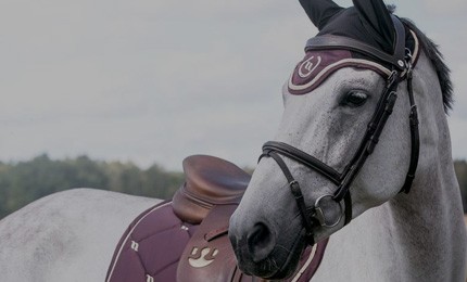 Sellerie en ligne - Équipement cavalier et cheval - Horse Planet