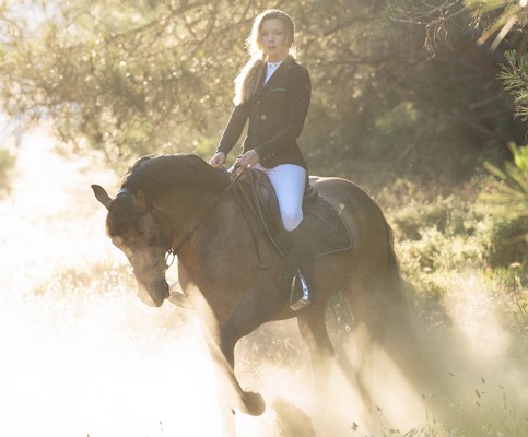 Equitation : Sellerie en ligne